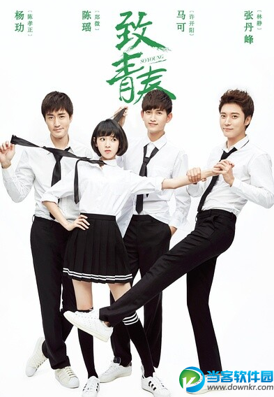 致青春电视剧全集(1~40集)迅雷百度云下载 - 当