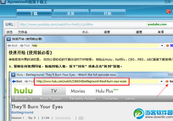 Apowersoft视频下载王 官方免费下载 - 当客软件
