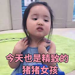 精致的猪猪女孩表情包下载_猪猪女孩表情包下载 - 当客软件园-最好的绿色软件下载站