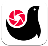 画报安卓版v1.1.0.2 官方最新版