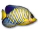 小鱼动态桌面 v1.7 官方免费版