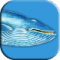 蓝鲸挑战 Blue Whale Challenge v1.0 安卓版