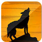 夜狼映拍修改版 v1.0.6 安卓版