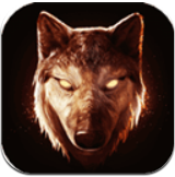 日月神盒 v1.0.6 安卓修改版