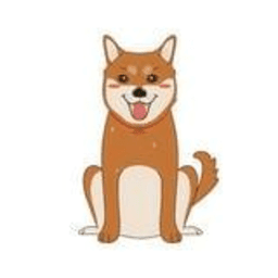 玩客汪 v1.1 安卓版