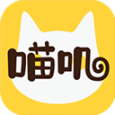 喵叽 V1.1 安卓版