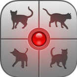 猫语翻译器 v1.4.0 安卓版