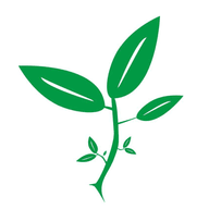 浅玲楼 v5.7 修改版