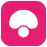 蘑菇街 v11.0.1.11153 安卓版