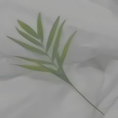 洋葱影院 v1.0.3 安卓版