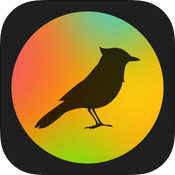 TaoMix2 v1.1.22 安卓中文版