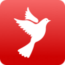 白鸽资讯 v1.0.8 安卓版