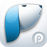 PP浏览器 v1.0 安卓版