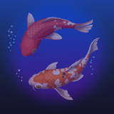 淘锦鲤 v1.0.2 安卓版