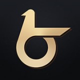 博睿金服 v1.0.2 安卓版