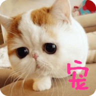 宠物翻译官 v1.2 安卓版