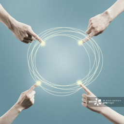 掌书转转 v1.0.0 安卓版