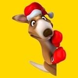 袋鼠小说 v1.0 安卓版