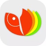 金鱼小说 v2.0 安卓版