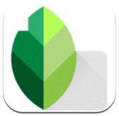 Snapseed v2.19.0.201907232 安卓版