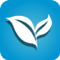 叶子TV v1.0.1 修改版
