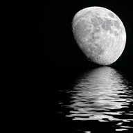 映月追书 v1.0 安卓版