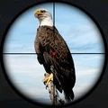 鸟类猎人狙击手 V1.0 安卓版