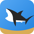 皇家鲨鱼队 V1.0 安卓版