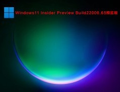 Windows11 Insider Preview Build22000.65预览版 V2021