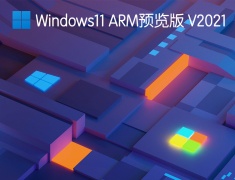 Windows11 ARM预览版 V2021