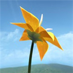 flower花 v1.0.9 安卓版