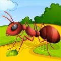 蚂蚁赛跑殖民地 V1.0 安卓版
