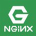 Nginx V1.19.5 官方中文版