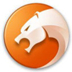 猎豹安全浏览器(猎豹浏览器) V6.5.115.20579 官方便携版