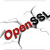 OpenSSL V1.10 免费版