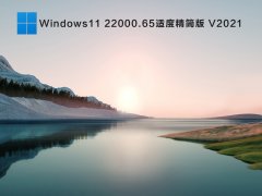 Windows11 22000.65专业激活版 V2021