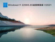 Windows11 22000.65专业激活版 V2021