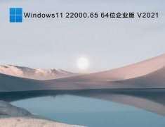 Windows11 22000.65 64位企业版 V2021