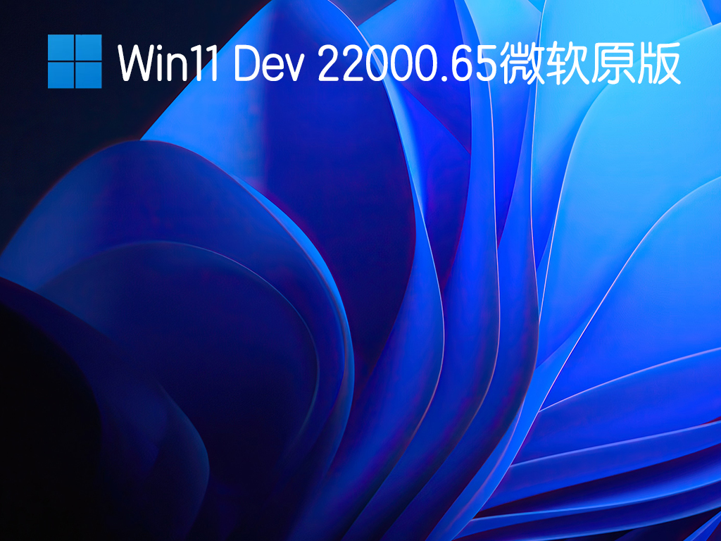 Win11 Dev 22000.65微软原版 V2021