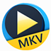 Aiseesoft Free MKV Player(MKV播放器) V6.6.10 英文安装版