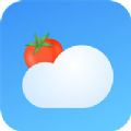番茄天气 V2.0.0 安卓版