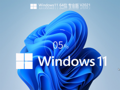 Windows11 64位企业版LTSC V2021.08