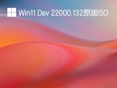 Win11 Dev 22000.132 ISO官方原版 V2021.08.09