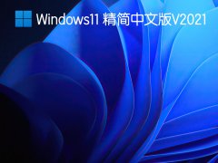 Windows11 Insider Preview Build22000.65预览版 V2021