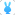 兔呼交友 V1.3 安卓版