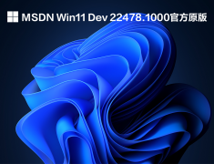 Win11 Build 22478 预览版 V2021.10
