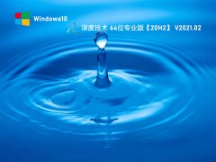 深度技术Win10 20H2 64位专业版系统 V2021.02