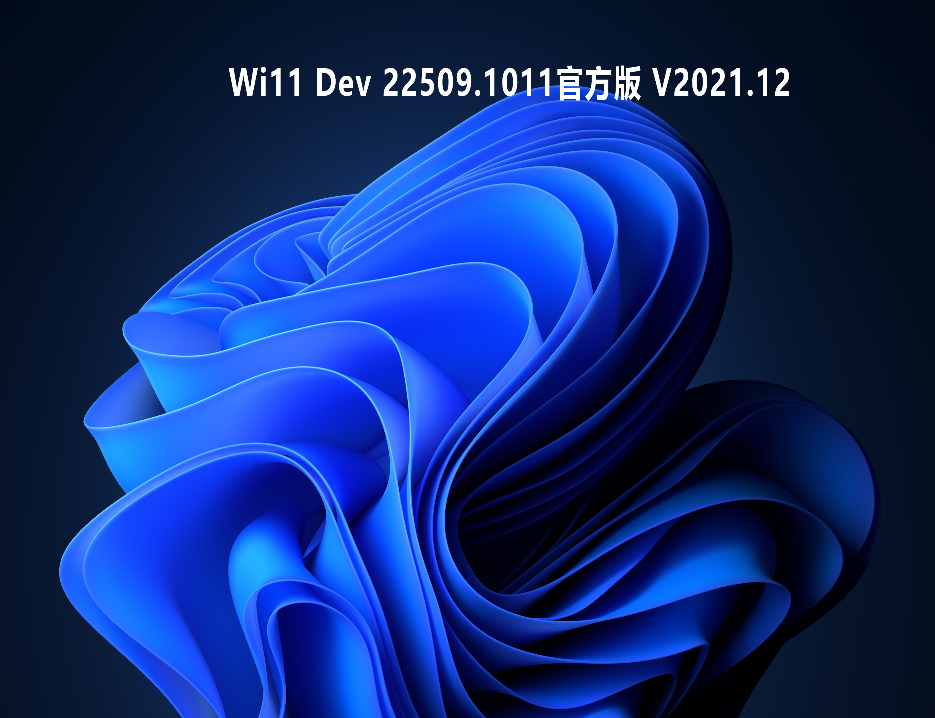 Wi11 Dev 22509.1011官方版 V2021.12