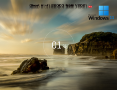 Windows11 21H2 22000.376 专业版 V2021.12
