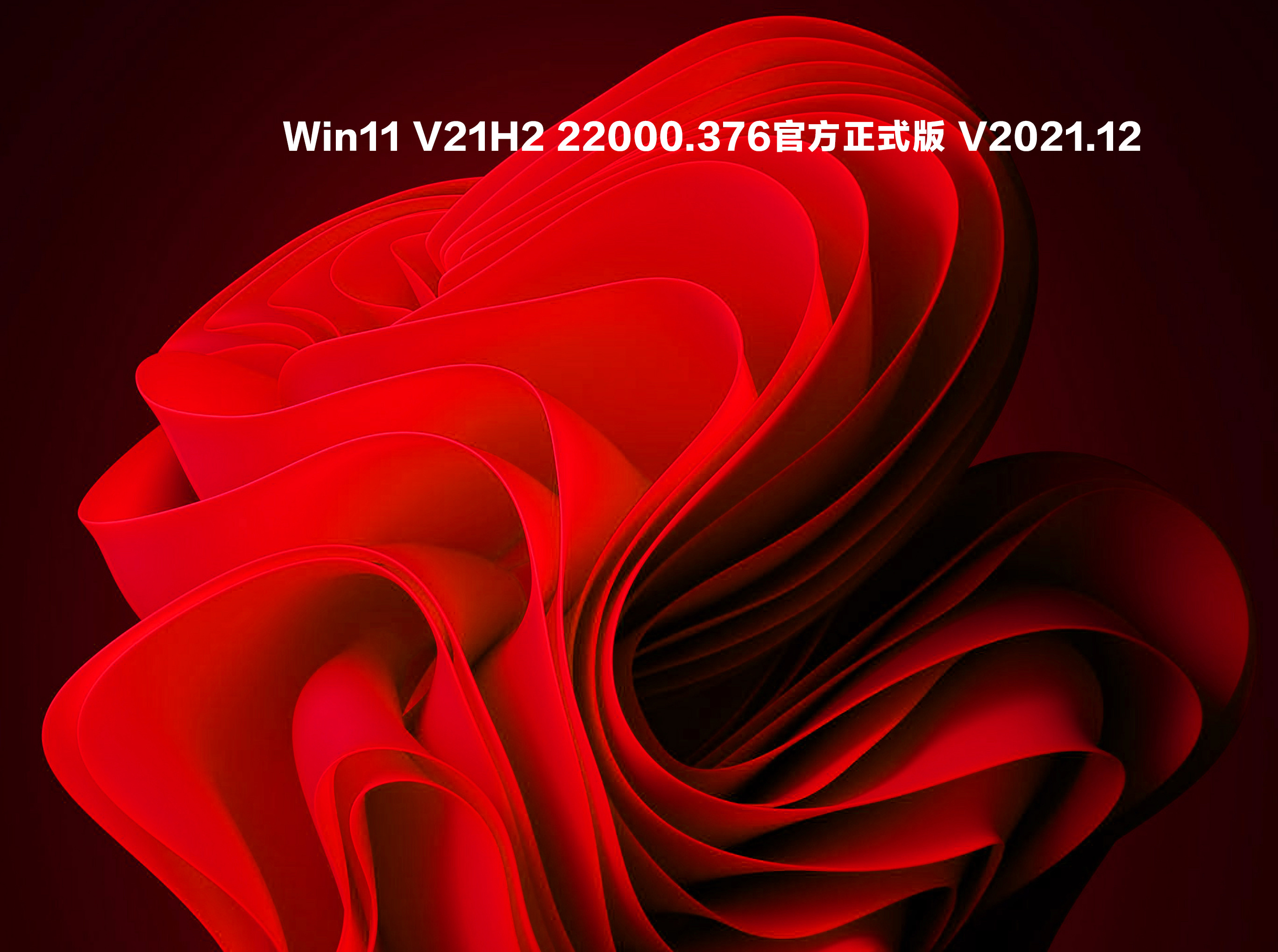 Win11 V21H2 22000.376官方正式版 V2021.12